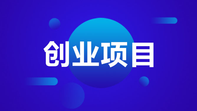 创业项目