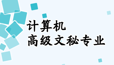计算机高级文秘专业
